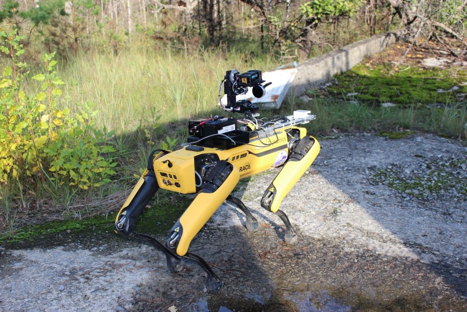 Boston Dynamics Spot, a yellow and black quadruped robot, carrying a radiation detector across overgrown ground in the Chornobyl Exclusion Zone