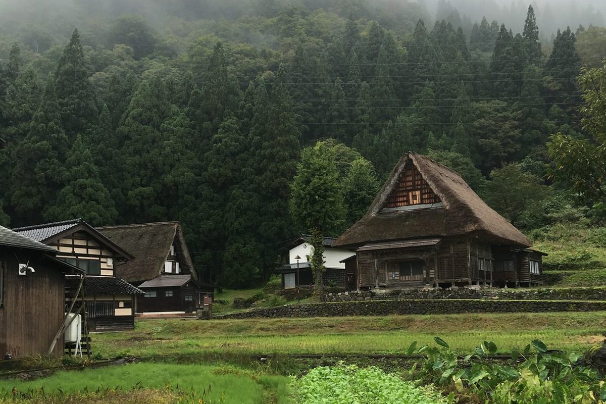 Timber gassho farmhouses with steep thatched roofs at Ainokura, with mist lying across the forested hillside behind