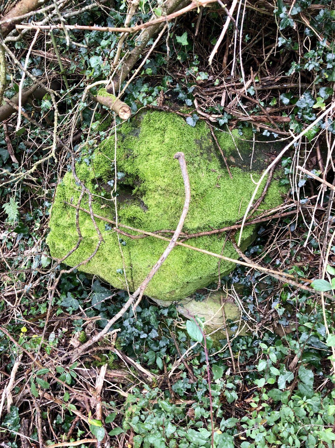 A large boulder thickly covered in bright green moss, set among bare branches and ivy in the corner of a field